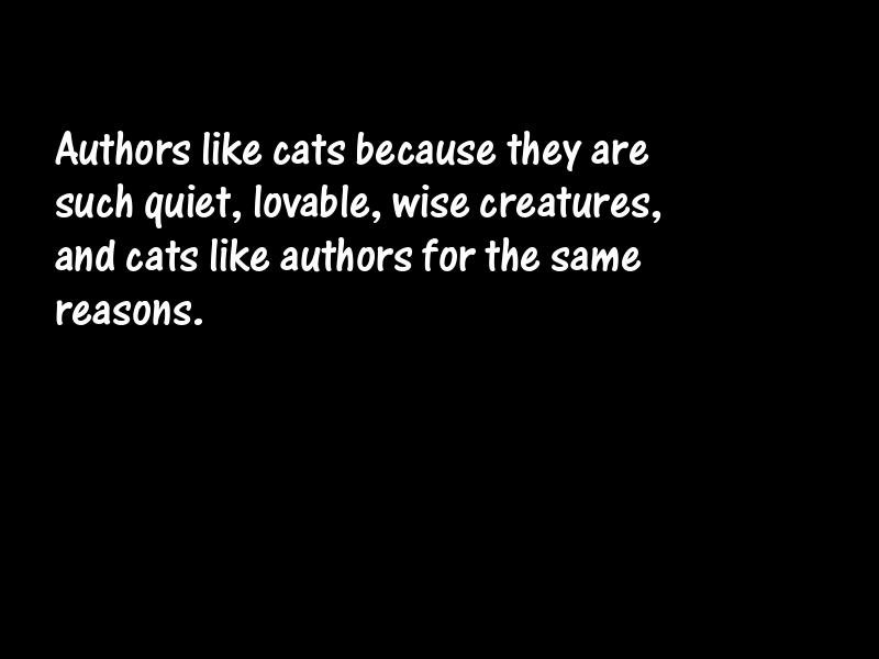 Cats Motivational Quotes