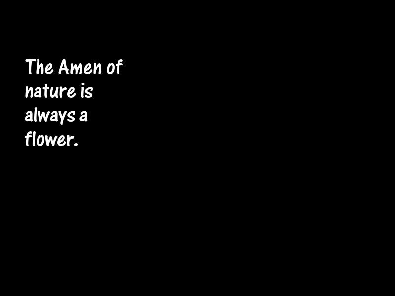 Flowers Motivational Quotes