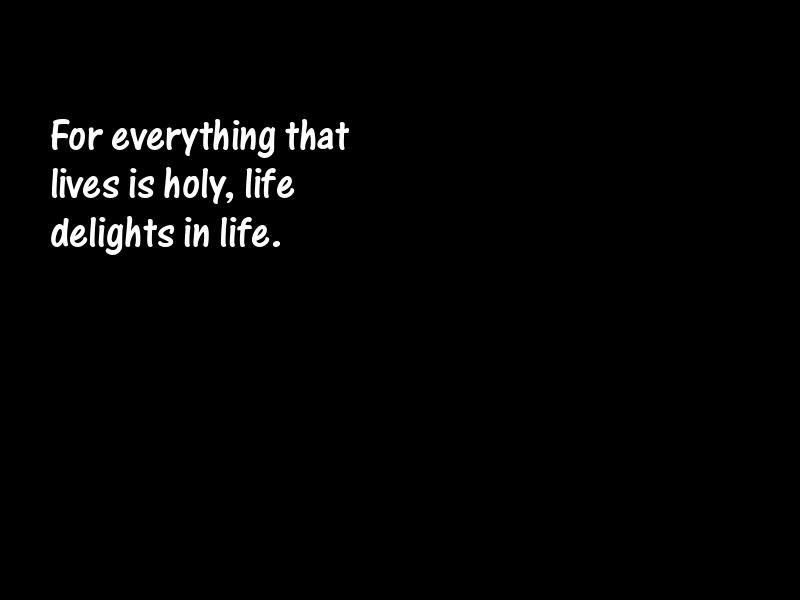 Life Motivational Quotes