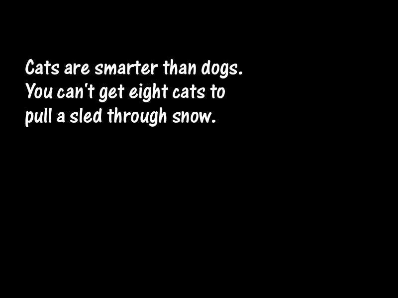 Pets Motivational Quotes
