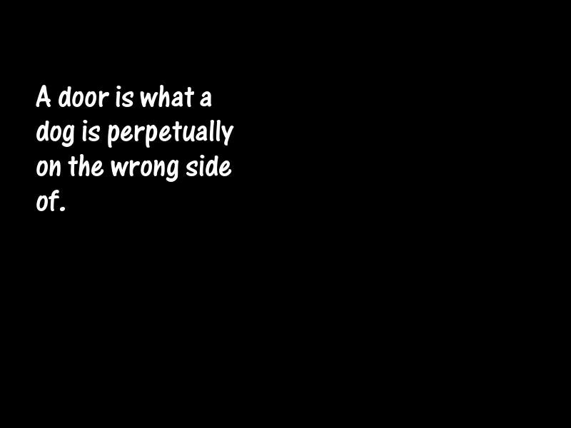 Pets Motivational Quotes