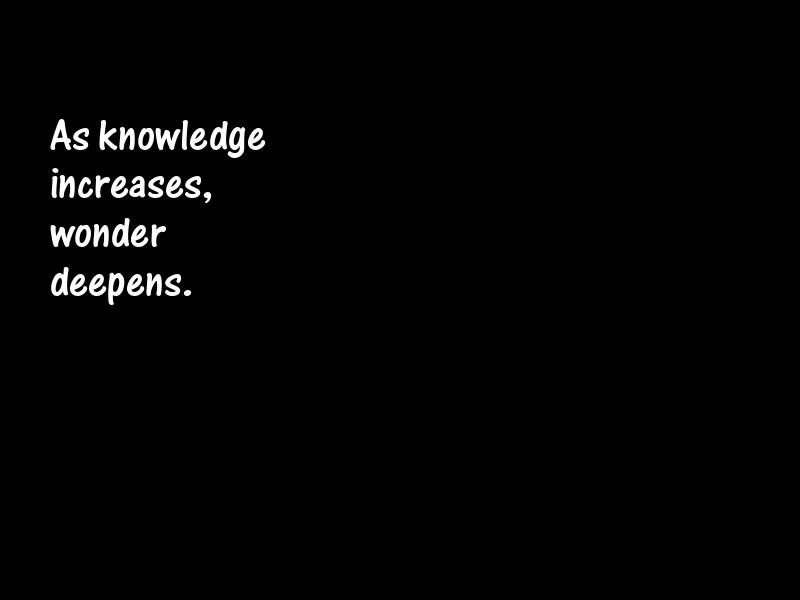 Wonder Motivational Quotes