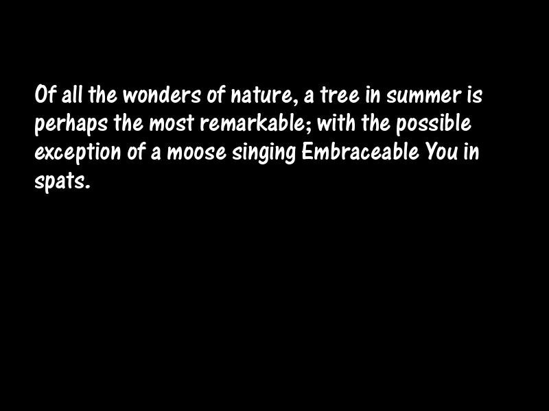 Animals Motivational Quotes