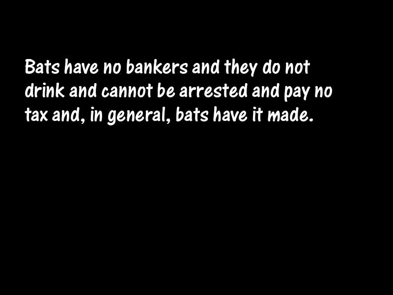 Animals Motivational Quotes