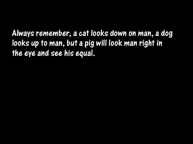 Animals Motivational Quotes