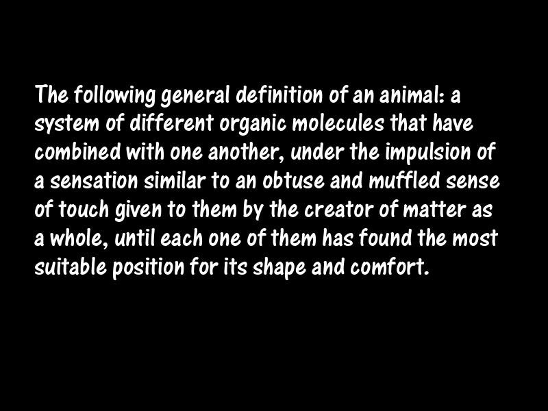 Animals Motivational Quotes