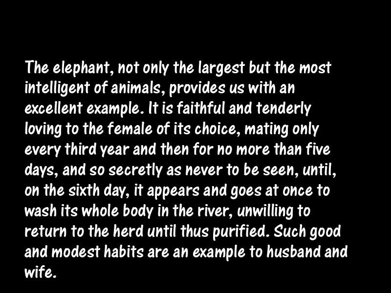 Animals Motivational Quotes