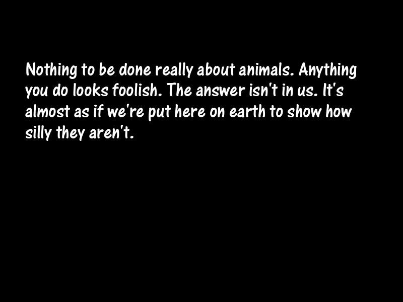 Animals Motivational Quotes