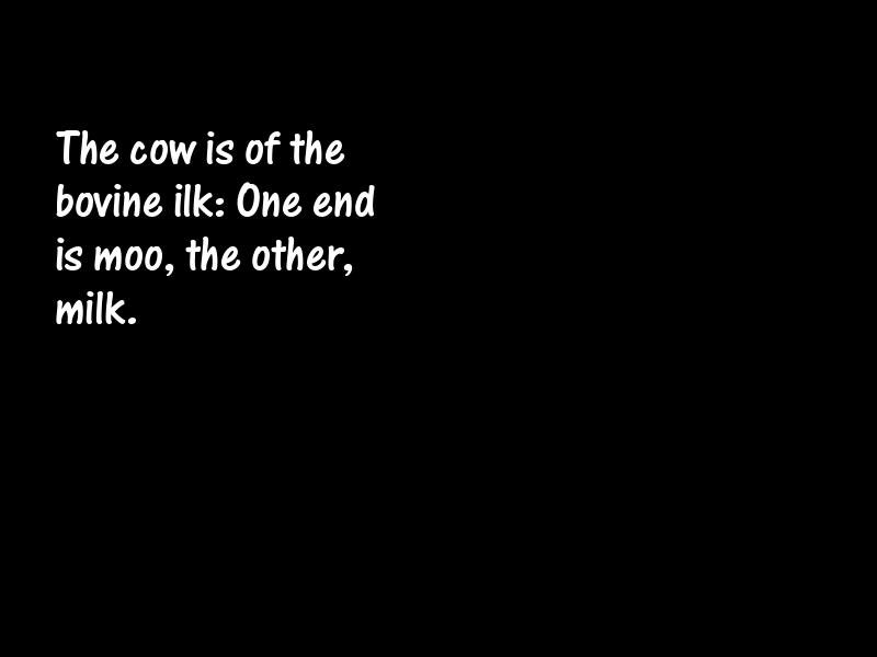 Animals Motivational Quotes