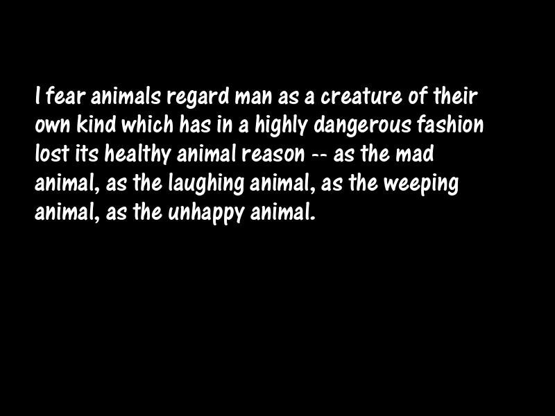 Animals Motivational Quotes