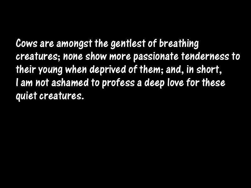 Animals Motivational Quotes