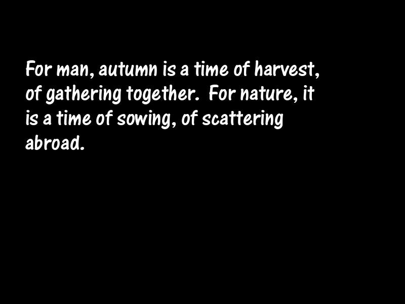 Autumn Motivational Quotes