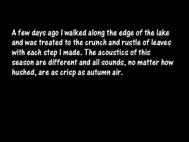 Autumn Motivational Quotes