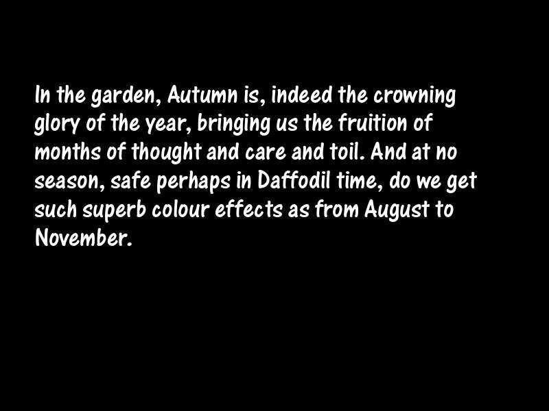 Autumn Motivational Quotes