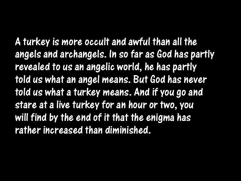 Birds Motivational Quotes