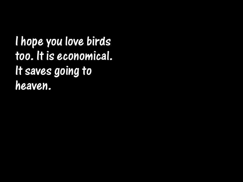 Birds Motivational Quotes