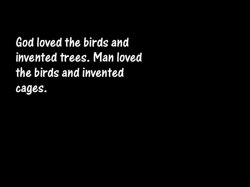 Birds Motivational Quotes