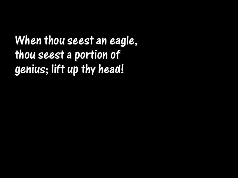 Birds Motivational Quotes