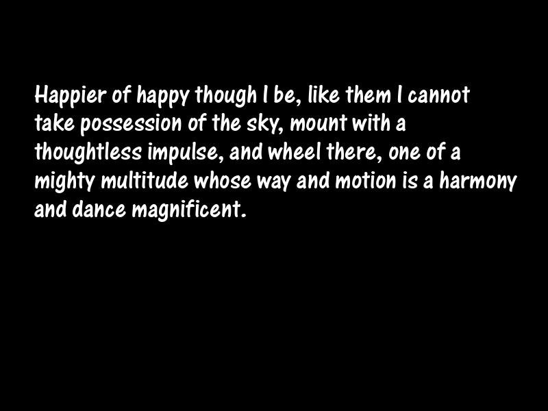 Birds Motivational Quotes