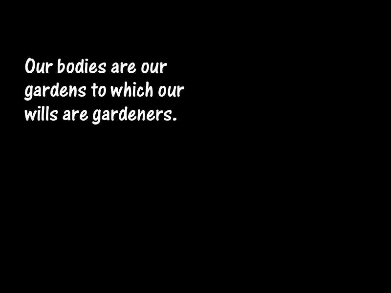 Body Motivational Quotes