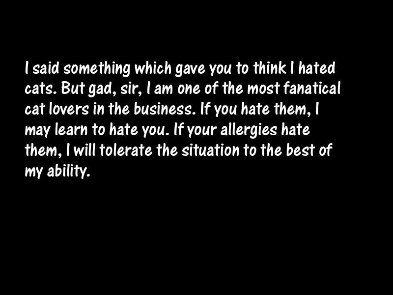 Cats Motivational Quotes