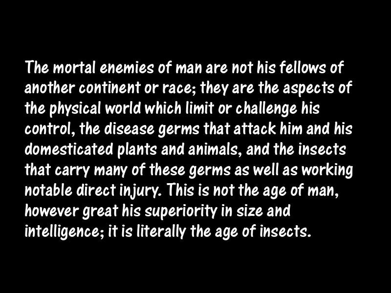 Insects Motivational Quotes