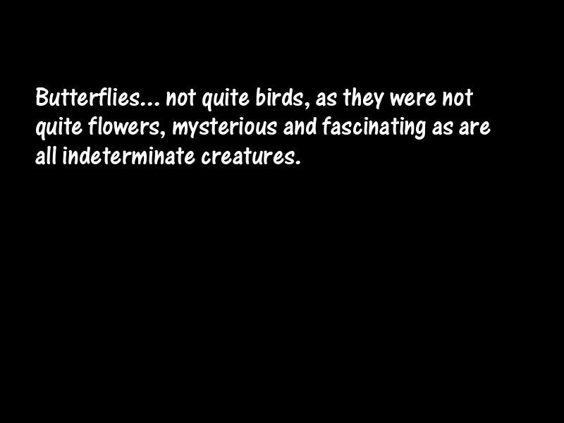 Insects Motivational Quotes