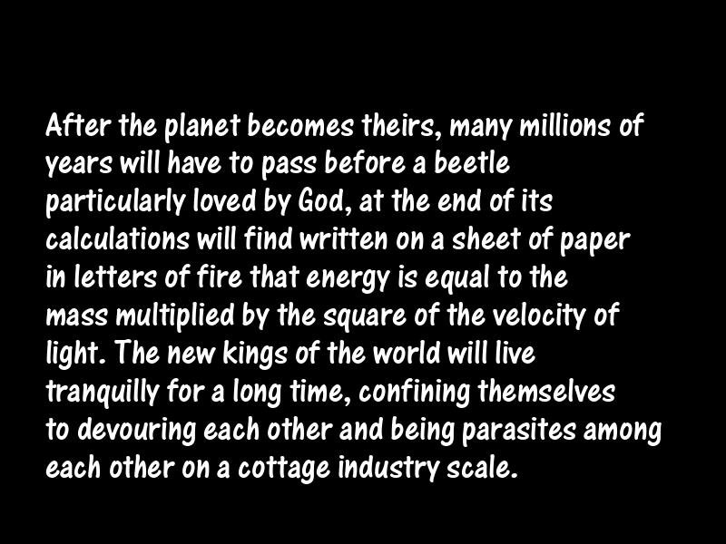 Insects Motivational Quotes