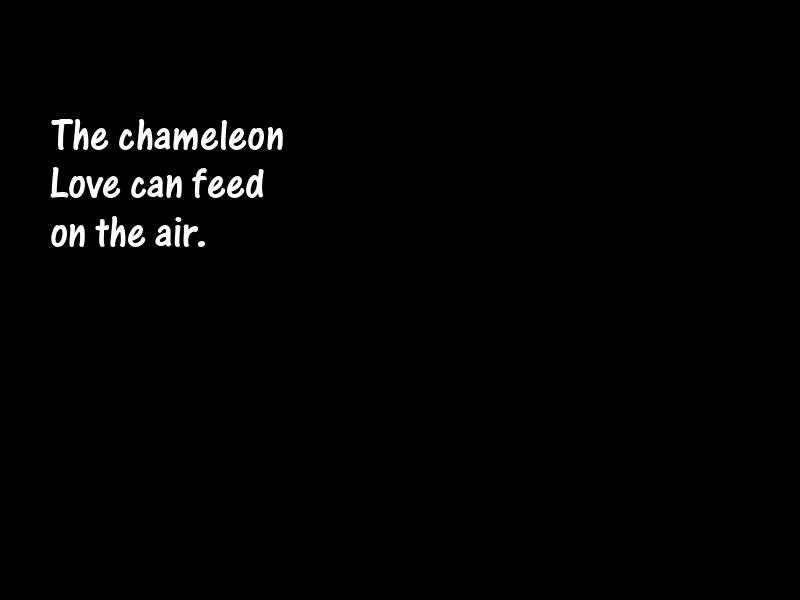 Love Motivational Quotes