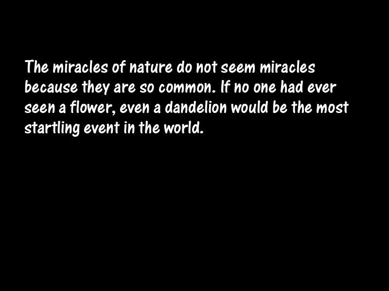 Miracles Motivational Quotes