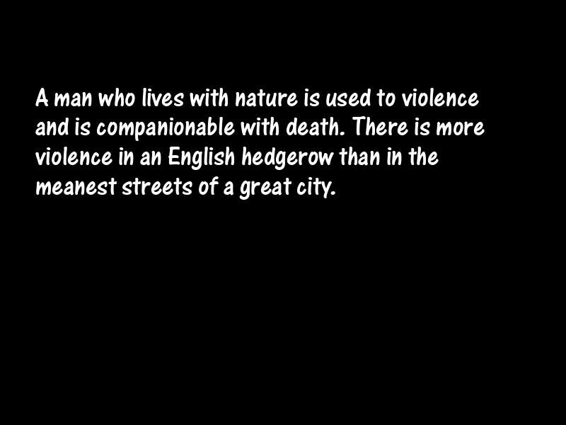 Nature Motivational Quotes