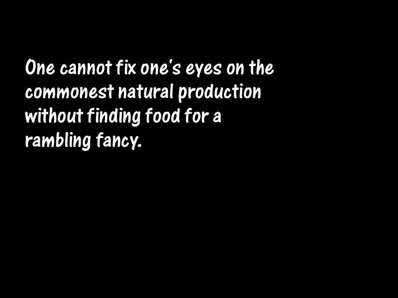 Nature Motivational Quotes