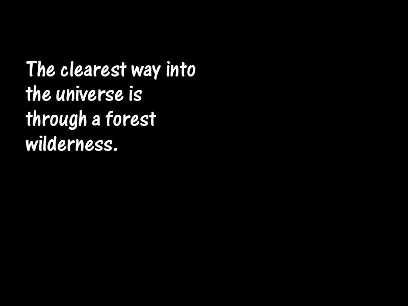 Nature Motivational Quotes