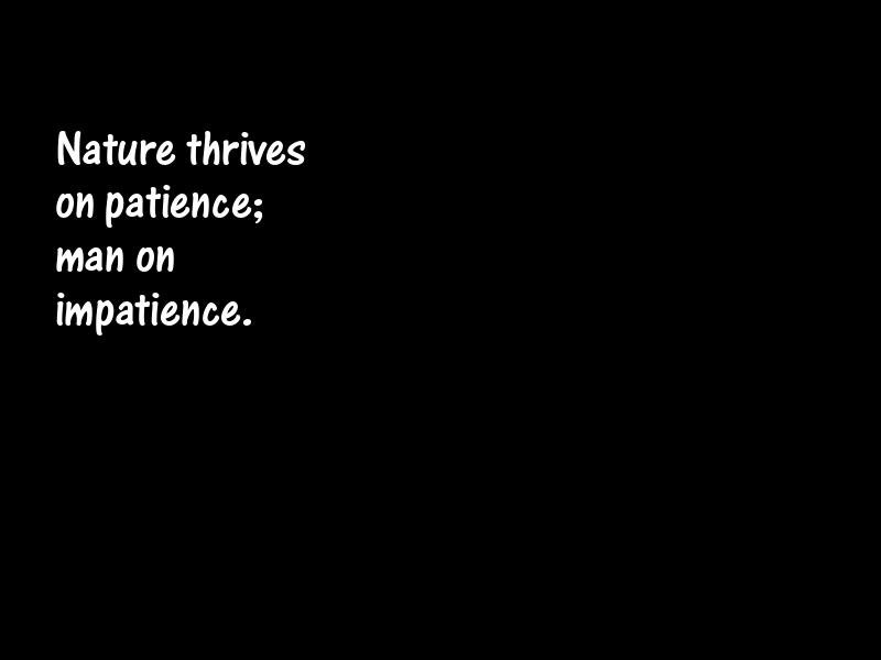 Patience Motivational Quotes