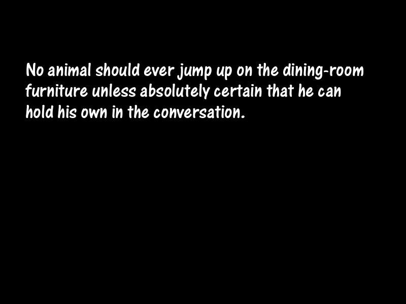 Pets Motivational Quotes