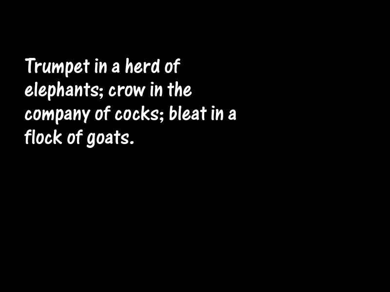 Proverbs Motivational Quotes