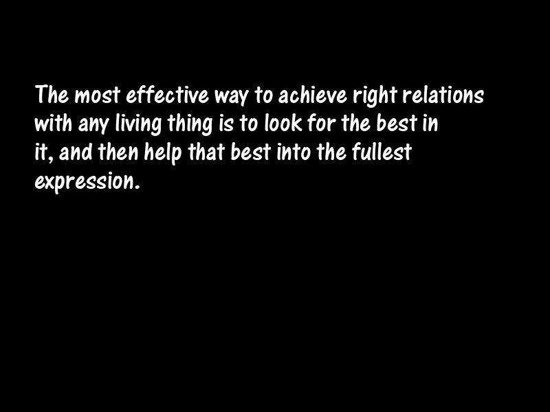 Rapport Motivational Quotes