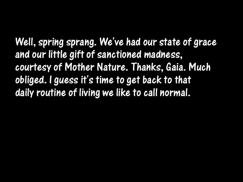 Spring Motivational Quotes