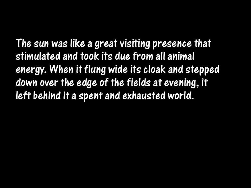 Sun Motivational Quotes