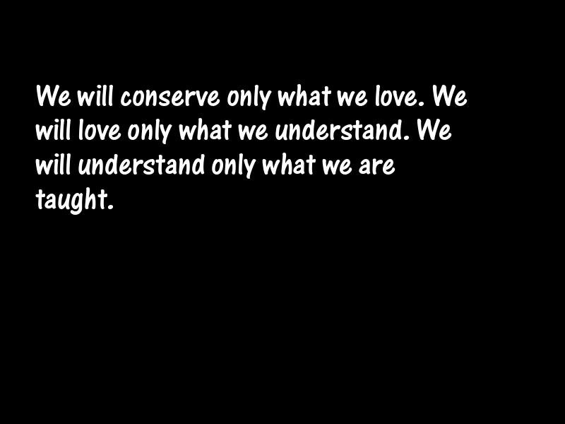 Teacher Motivational Quotes