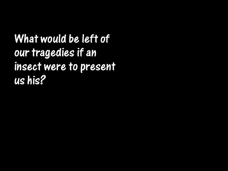 Tragedies Motivational Quotes