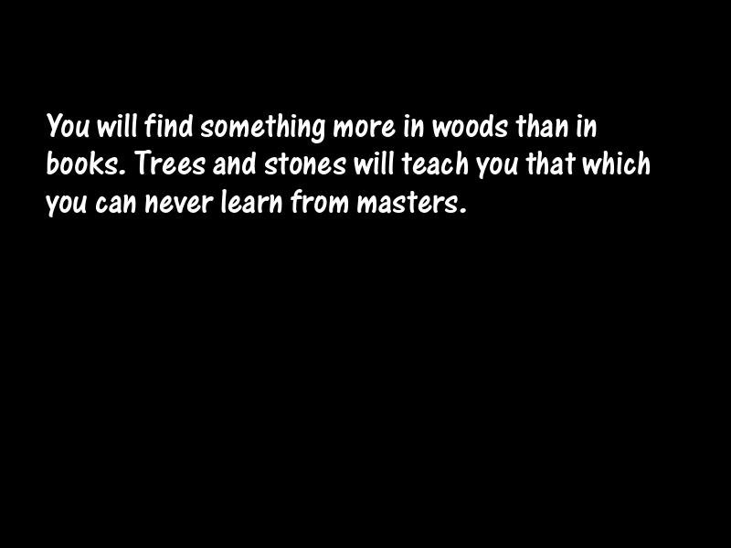 Trees Motivational Quotes
